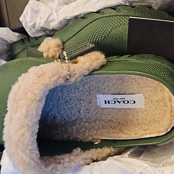 Shoes - Picture 6 of 7